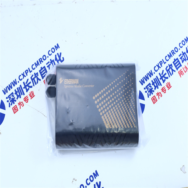 ETHERWAN EL100T