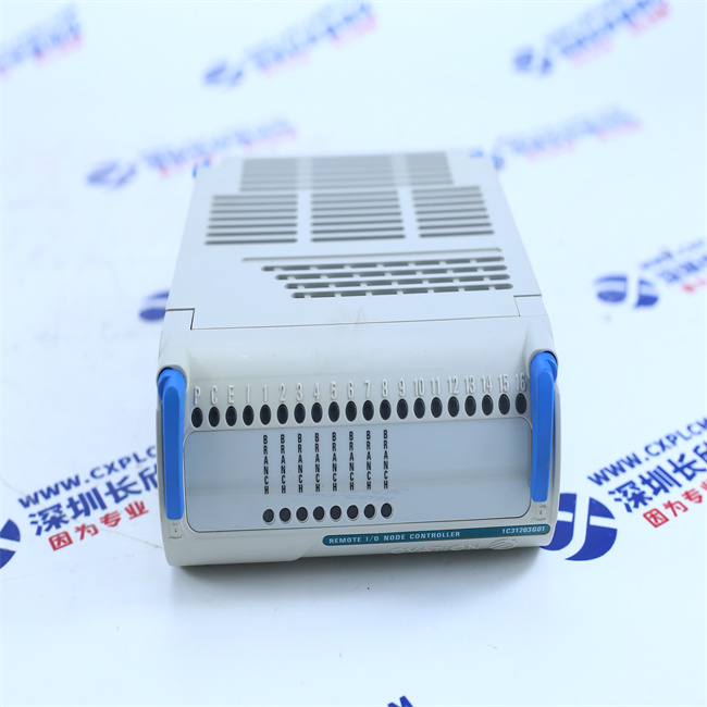 Emerson 1C31203G01