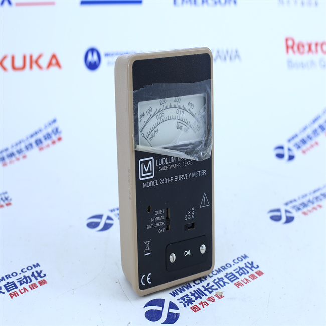 LUDLUM  2401-P