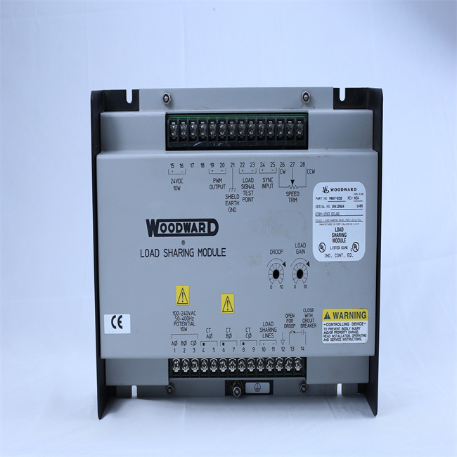 WOODWARD E309-1583 ECL02