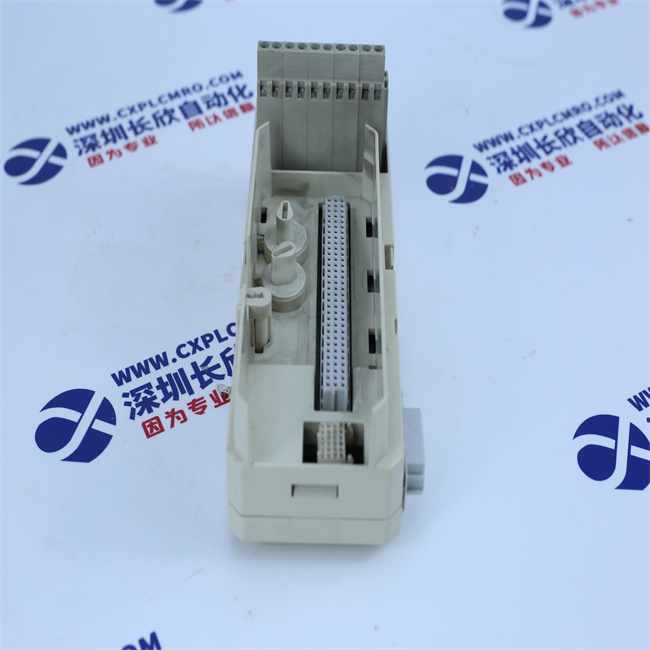 ABB  TU810V1