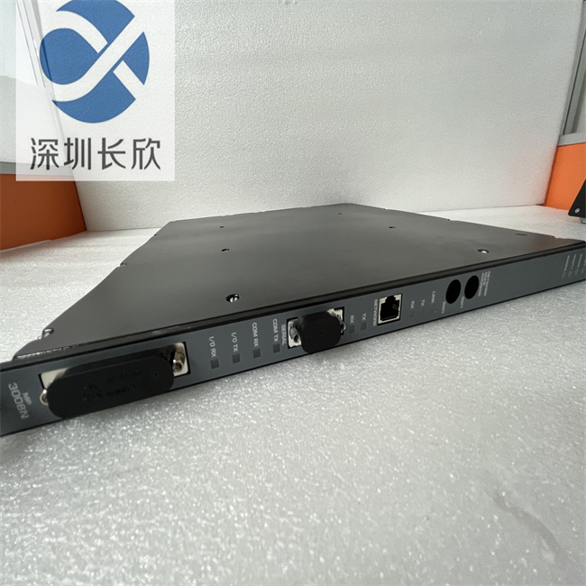 TRICONEX 3008N (2).JPG