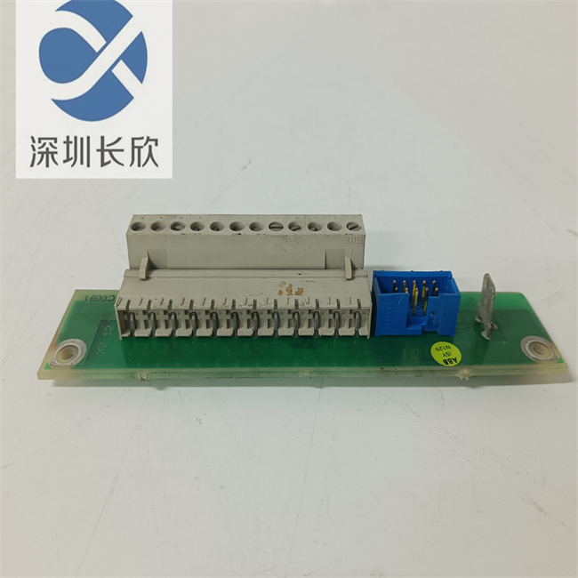 DSTC175 57310001-KN (2).jpg