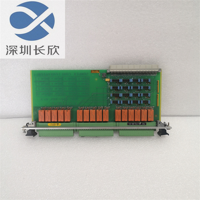 Vibro-meter 200-570-000-014 200-570-101-013 VM600 (1).jpg