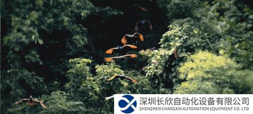 640 (2).gif 640 (2).gif