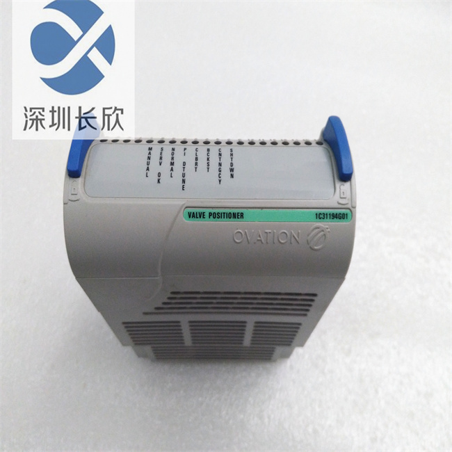 1C31194G01 (3).jpg