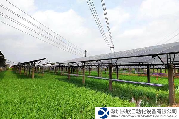 国内首个光伏与主粮生产融合项目并网成功