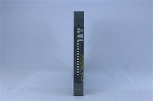 Trusted T8403 50999-2145R10  ICS工业控制系统