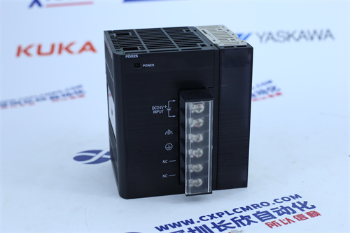 OMRON  NE2A-DNS21卡件