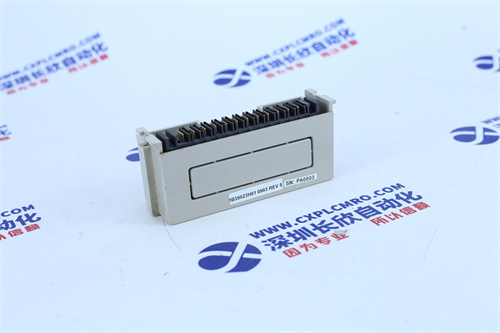  WESTINGHUSE  1B30023H01卡件