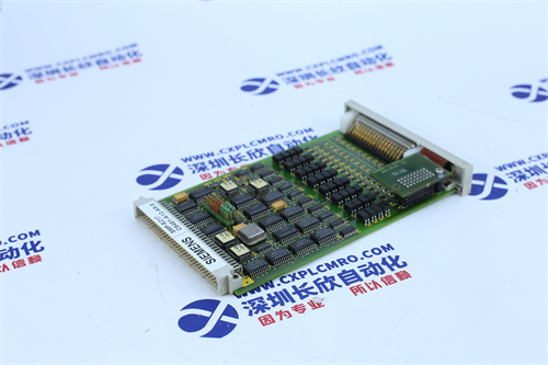 Siemens   SMP-E217卡件