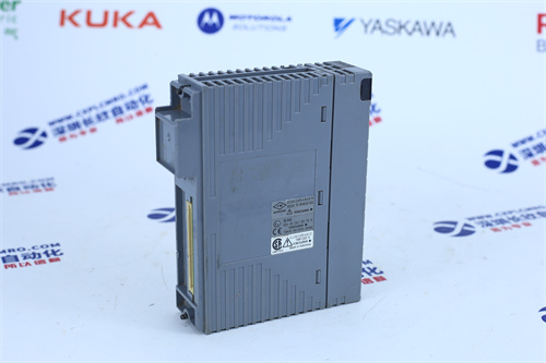 YOKOGAWA  AAI543模块
