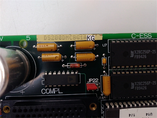 DS200DMCBG1AKG DS215DMCBG1AZZ03A (4).jpg