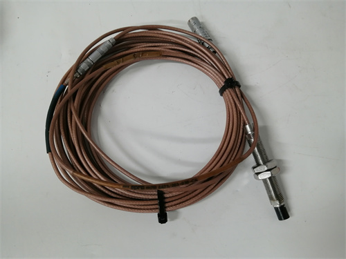 SIEMENS	6DD1600-0AK0模块