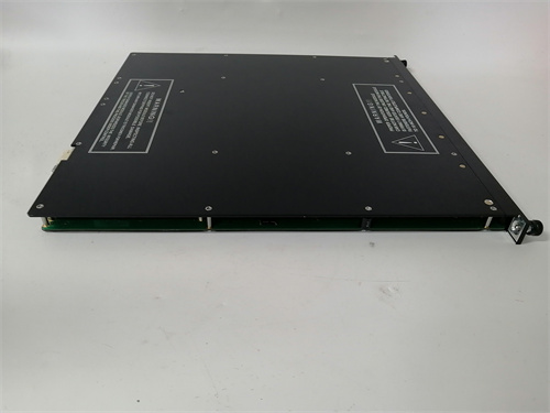 TRICONEX 3009( 6).jpg