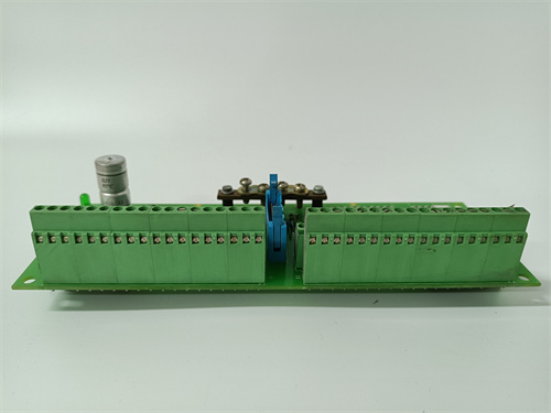 SCYC55830 58063282A (4).jpg