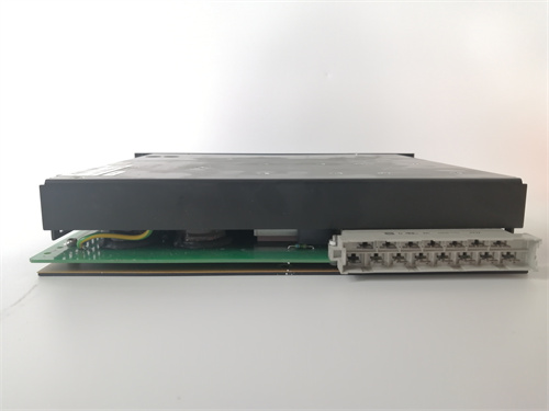 GE	DS200DCFBG1BNC数字输入/输出模块