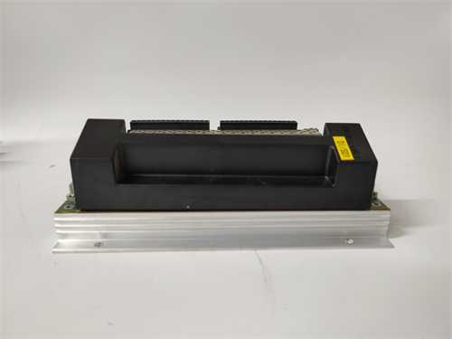 TRICONEX 2301(4).jpg