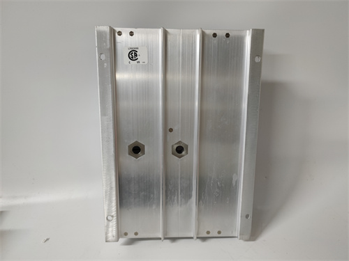 TRICONEX 2301(2).jpg