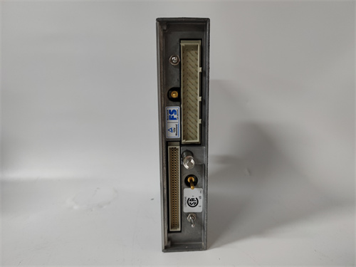 TRICONEX 3351(3).jpg