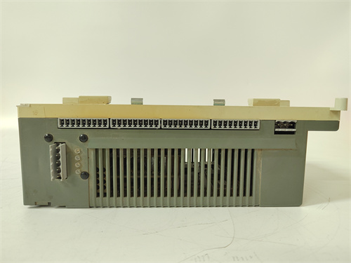 TRICON	3703E高性能的模块