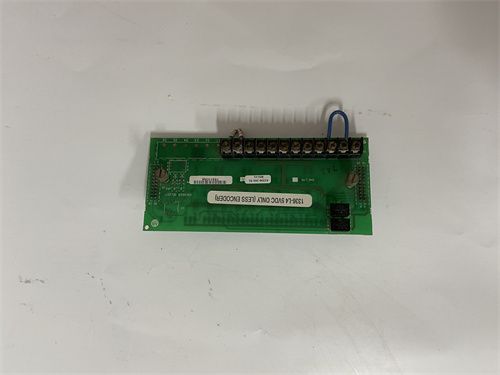 BENTLY 1900/65A-01-02-01-00-00高性能的模块