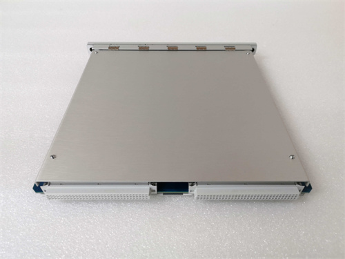 KOLLMORGEN SERVOSTAR 310伺服驱动器