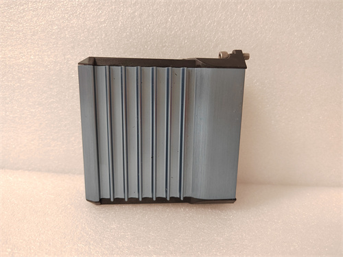 RELIANCE ELECTRIC S-D4007电子设备模块