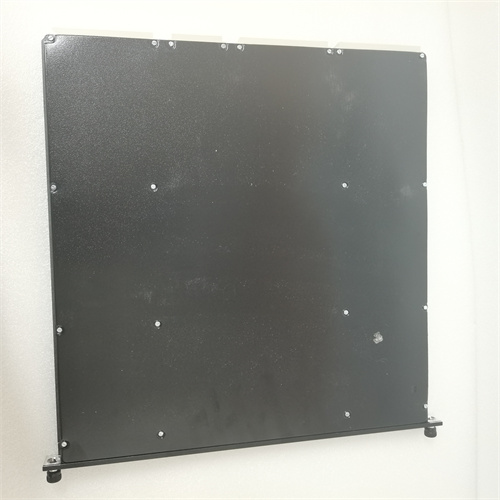 TRICONEX 3721(6).jpg