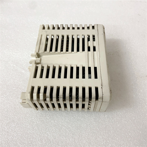 AI810 3BSE008516R1 (7).JPG