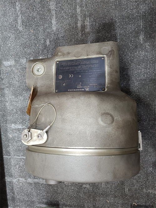 WOODWARD 9907-1200 (6).jpg