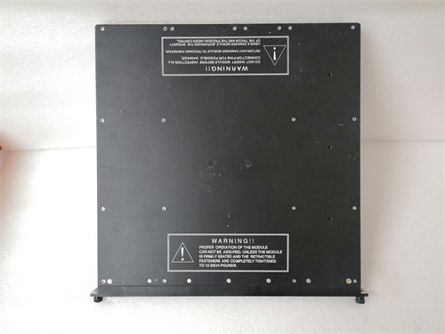 TRICONEX 3625A (11).jpg