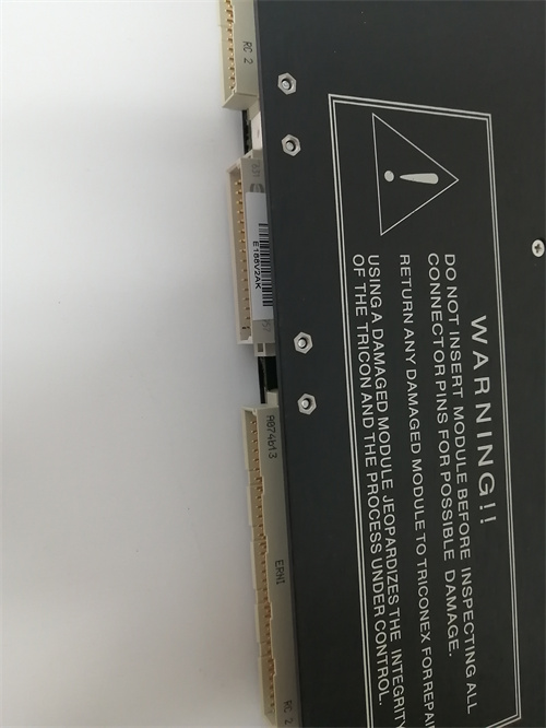 TRICONEX 3009(8).jpg