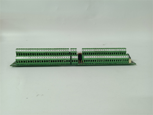 FOXBORO FPS400-24模块