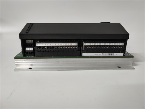 TRICONEX 2351(3).jpg