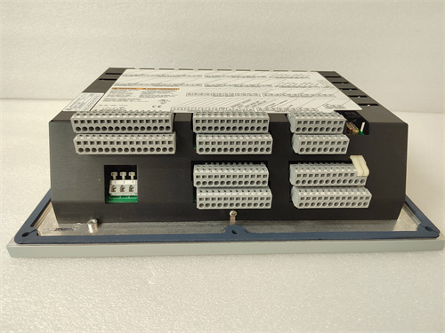ICSTRIPLEX T8110B 模块