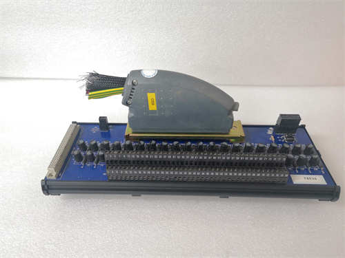 ICS TRIPLEX	T8461C 模拟量输入模块