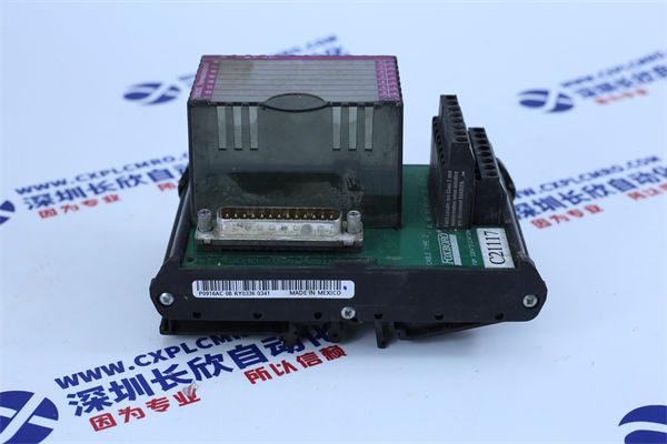 ICS TRIPLEX T8403数字输入模块