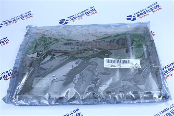 ABB	216NG63A模拟输入模块