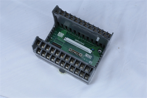 ICS TRIPLEX	T8461数字输出模块