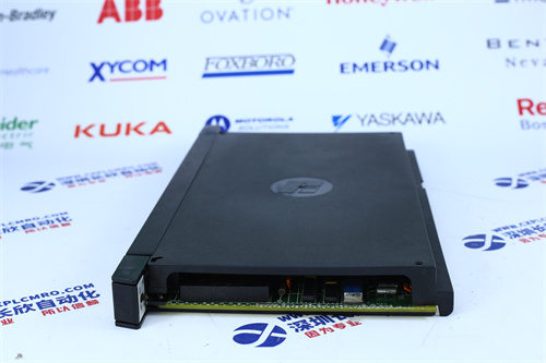 EMERSON A6110微控制器模块