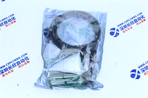 FIFE	CDP-01-MM模拟量输入模块