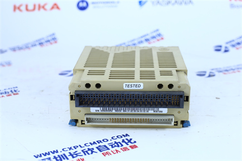 GE	IS200RAPAG1B模块