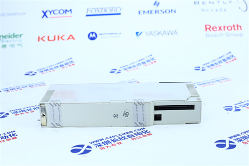 TRIPLEX	T9432输出模块