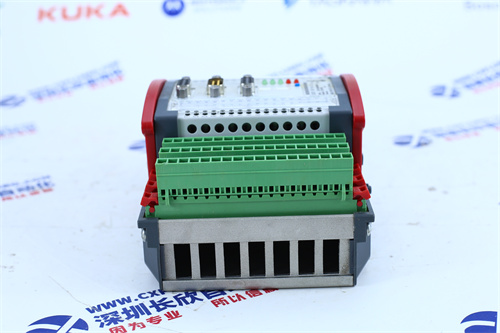 BAUMULLER	GDM120N-528/0750伺服电机驱动模块