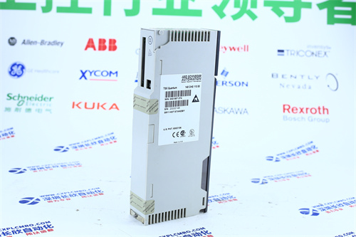 WESTINGHOUSE	1C31197G05继电器输出模块