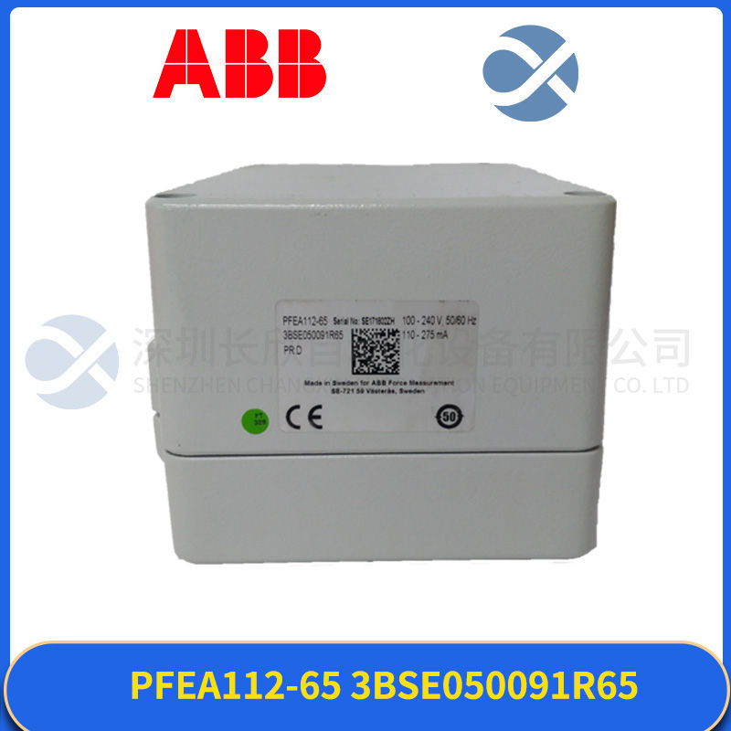 ABB PFEA112-65 3BSE050091R65 (1).jpg