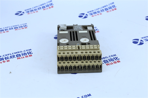 SUPCON	FW252-04A输出模块
