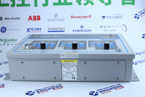 WESTINGHOUSE	1P00028G01模块