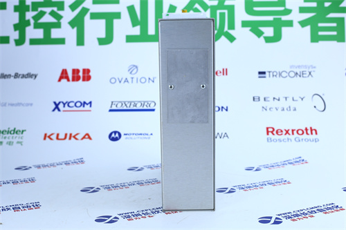 Bently Nevada	330106-05-30-05-02-00探头模块